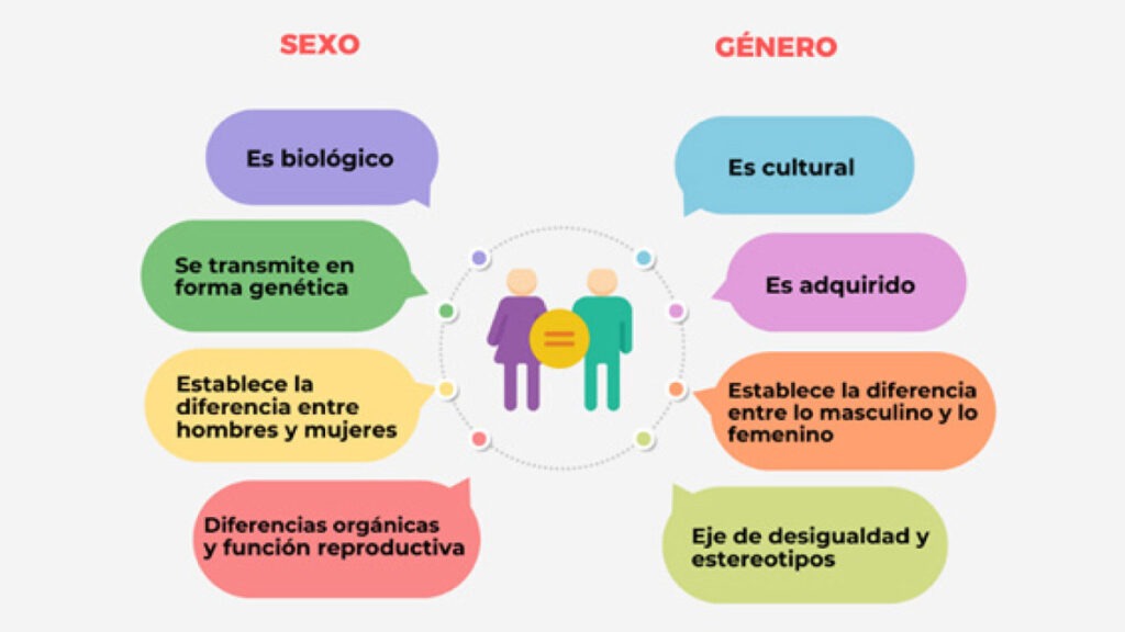 que estudios recientes dicen sobre la igualdad