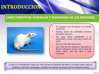 Qué exámenes son vitales para la salud de un ratón 1 que examenes son vitales para la salud de un raton