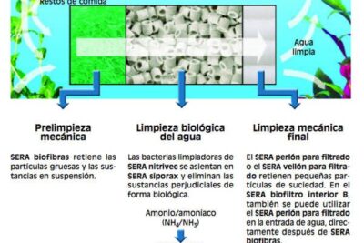 que habitos de limpieza son recomendados para un acuario