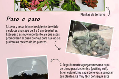 que herramientas necesito para crear un terrario