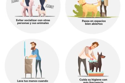 que medidas de higiene pueden proteger a tu mascota