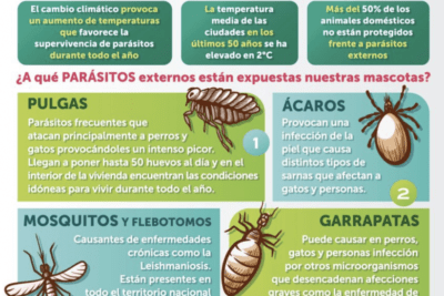que medidas tomar para evitar parasitos en reptiles