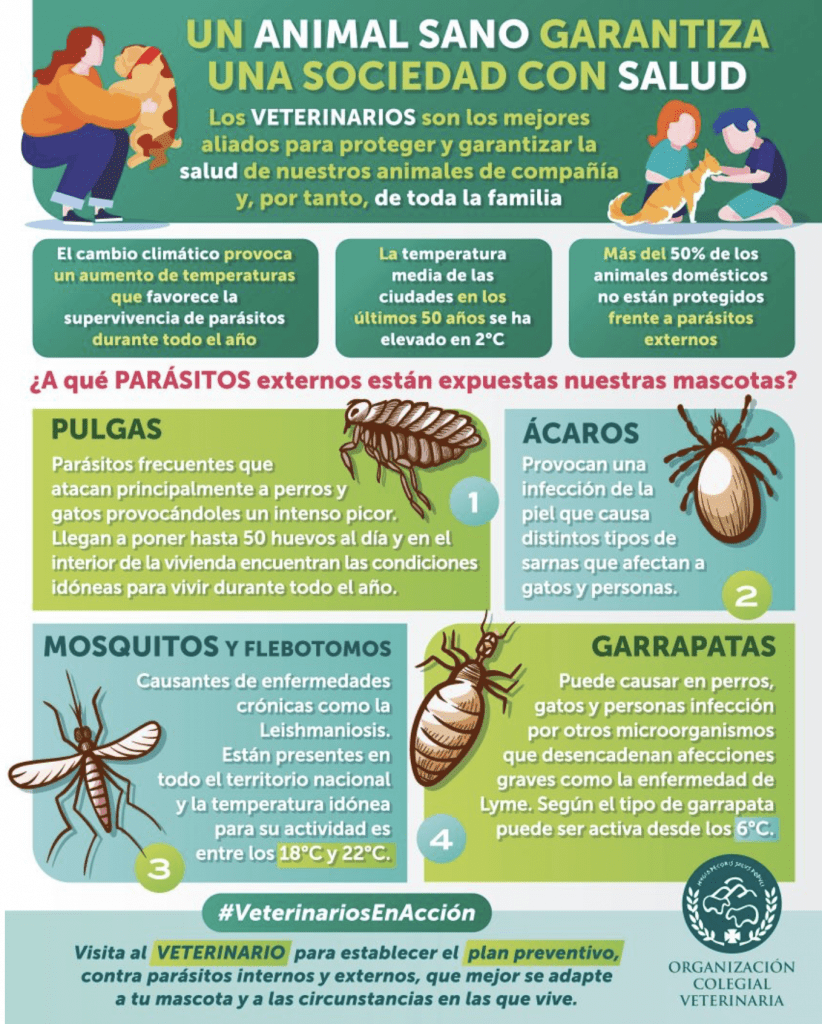 Qué medidas tomar para evitar parásitos en reptiles 1 que medidas tomar para evitar parasitos en reptiles