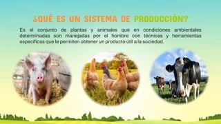 Qué métodos de reproducción permiten a los veterinarios 1 que metodos de reproduccion permiten a los veterinarios