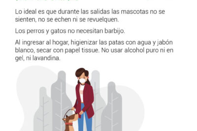 que precauciones usar al presentar nuevas mascotas