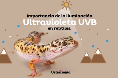 que tipo de luces uv son las mas eficaces para reptiles