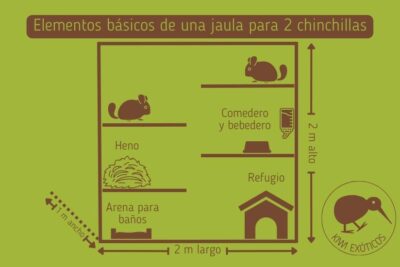 que tipo de refugios son ideales para un chinchilla
