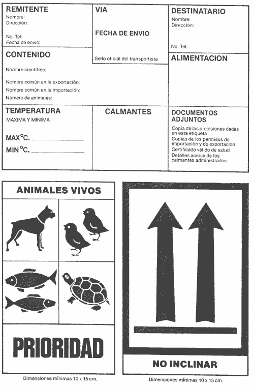 recomendaciones para el transporte de insectos