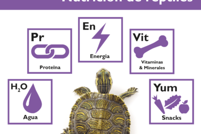 recomendaciones para la dieta en la prenez de reptiles