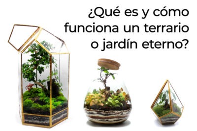 reemplazo de luces en el terrario es realmente necesario