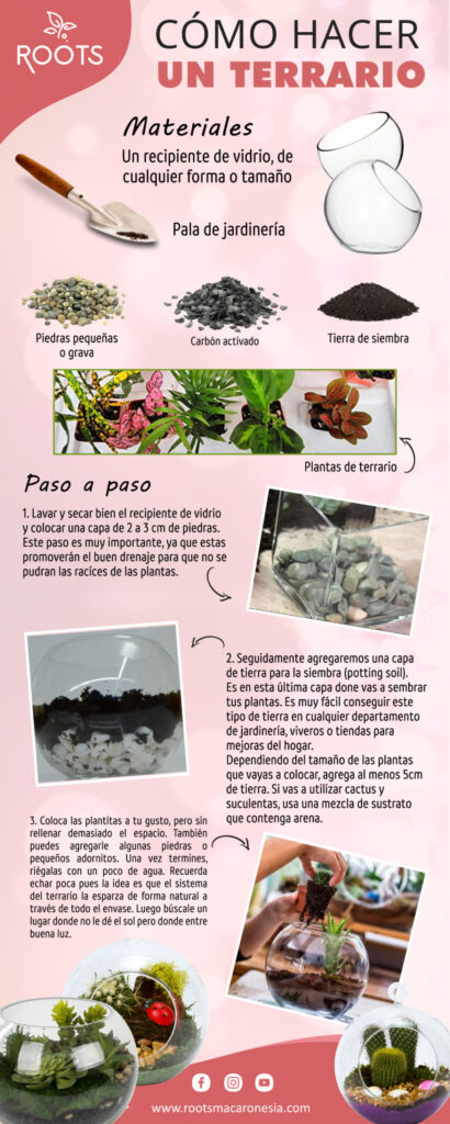 seguridad de un terrario en casa y precauciones a considerar