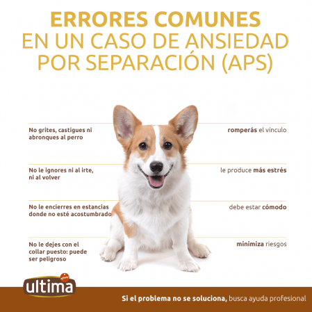 <p>Si observas que tu mascota sigue mostrando signos de ansiedad incluso después de un período de adaptación razonable 1 si observas que tu mascota sigue mostrando signos de ansiedad incluso despues de un periodo de adaptacion razonable