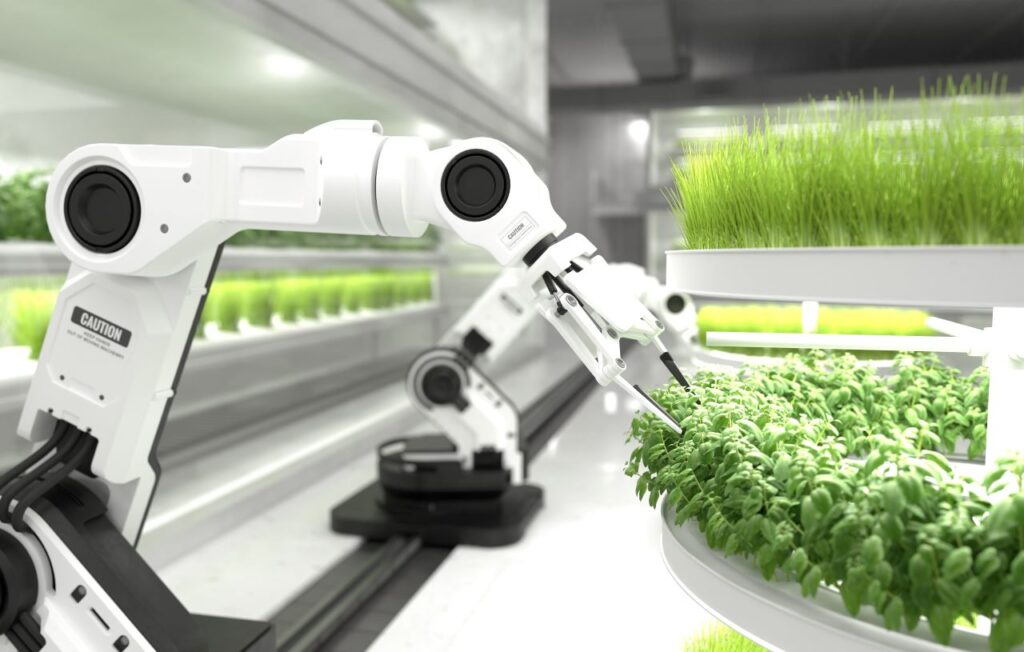 Sistemas automáticos de alimentación: Innovaciones y beneficios 1 sistemas automaticos de alimentacion innovaciones y beneficios
