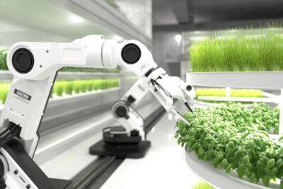 sistemas automaticos de alimentacion innovaciones y beneficios