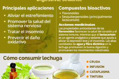 suplementos de lechuga para roedores beneficios y cuidados