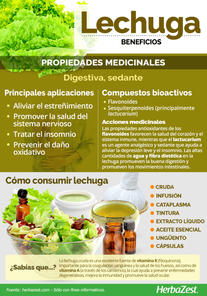 suplementos de lechuga para roedores beneficios y cuidados