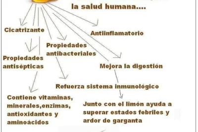 suplementos de miel beneficios y propiedades curativas