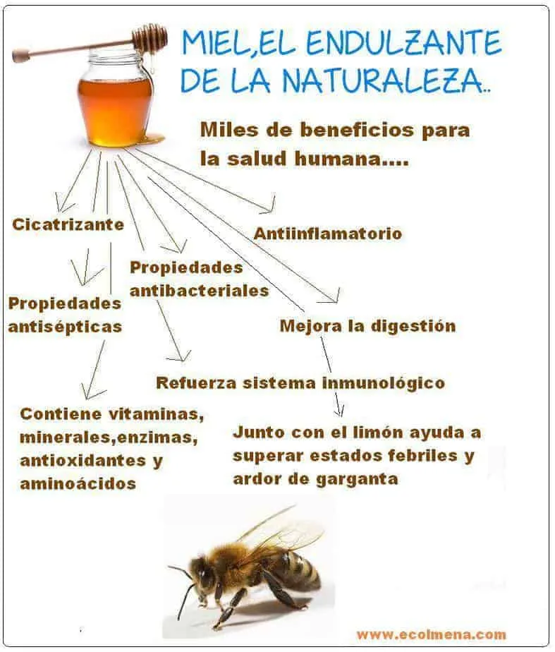 suplementos de miel beneficios y propiedades curativas