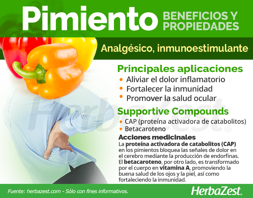 suplementos de pimiento para aves beneficios y consejos clave