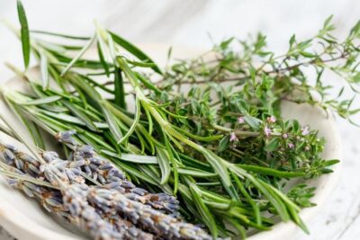 suplementos de romero beneficios para la salud digestiva