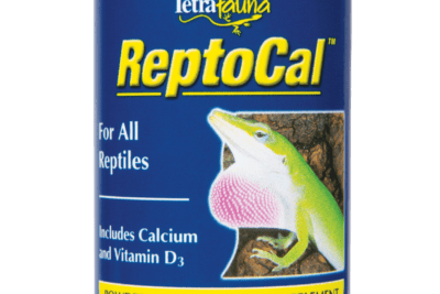 suplementos especificos para la salud de reptiles marinos
