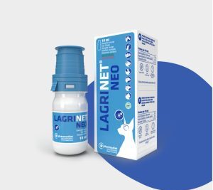 suplementos para mejorar la salud ocular de conejos domesticos