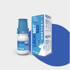 suplementos para mejorar la salud ocular de conejos domesticos