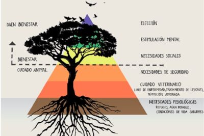 tecnicas facilitadoras para el enriquecimiento de reptiles