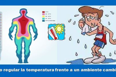 temperatura adecuada en el habitat natural como mantenerla