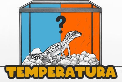 temperatura maxima tolerada por geckos sin danos graves