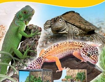 uso correcto de terrarios para el cuidado de anfibios