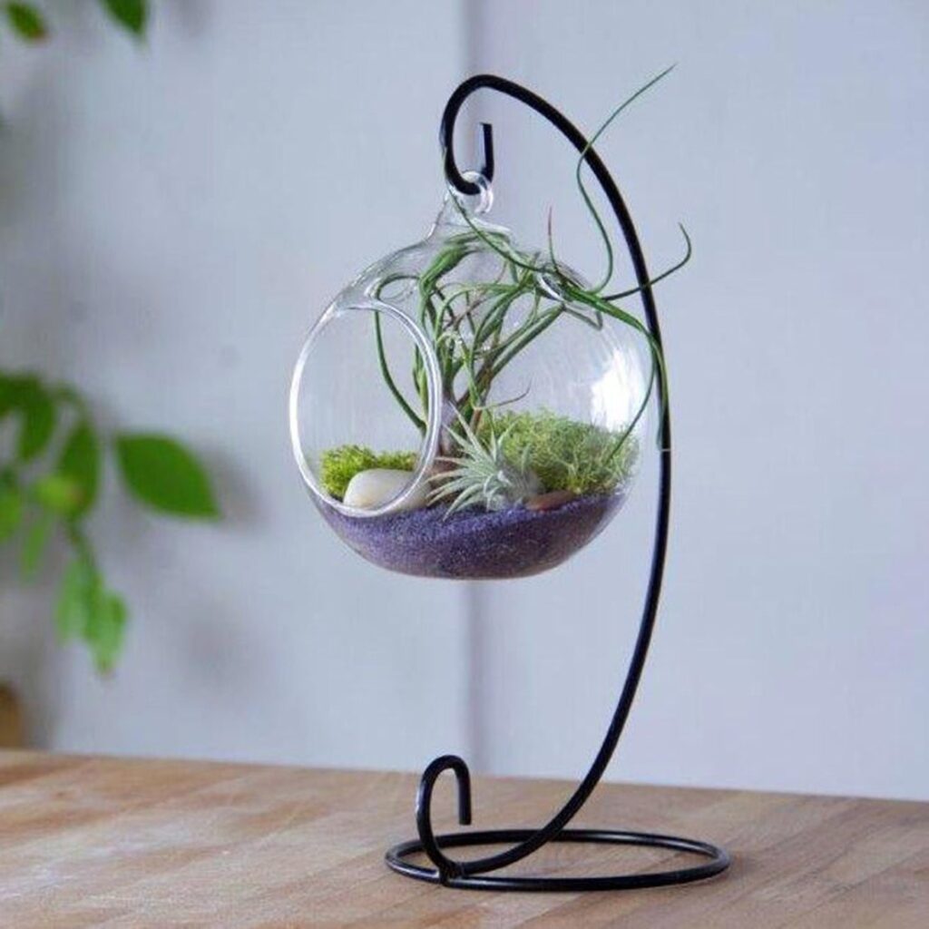 ventilacion en terrarios por que es importante