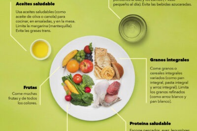 alimentacion balanceada guia completa para una vida saludable