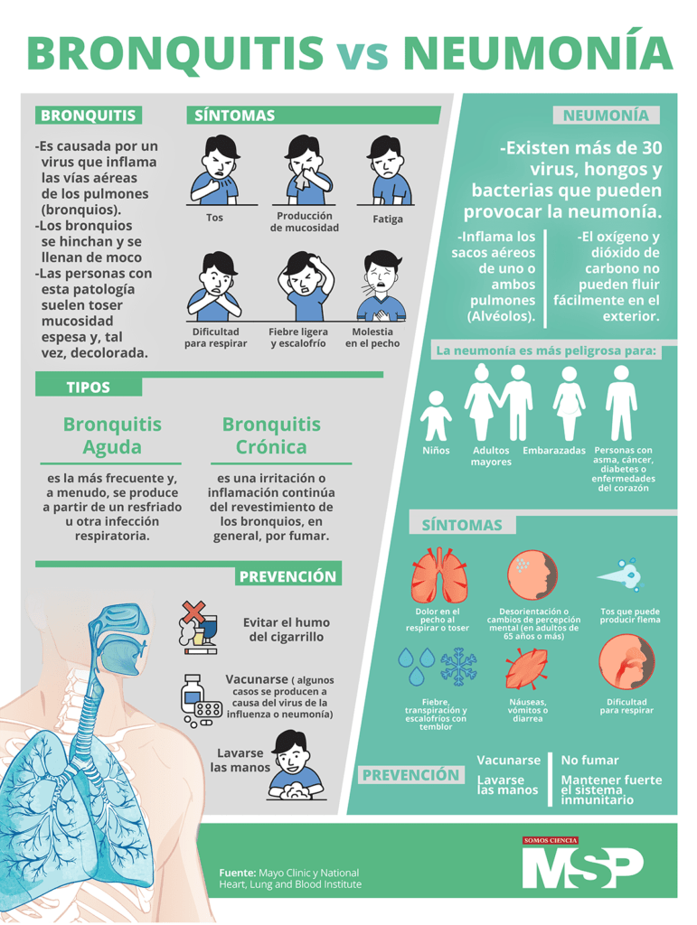 bronquitis sintomas guia completa para reconocerla