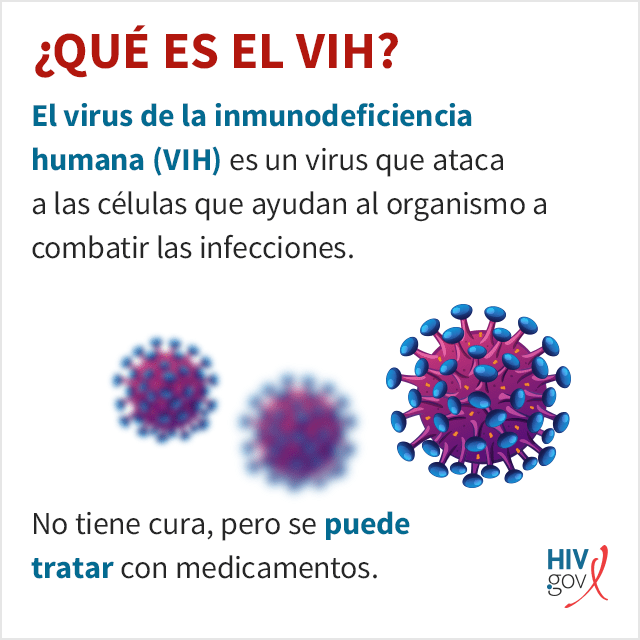vih todo lo que necesitas saber sobre el virus de la inmunodeficiencia humana