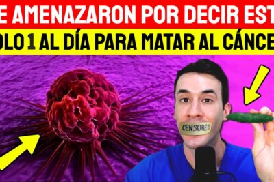 el cancer teme a estas 6 frutas poderosas tu escudo natural