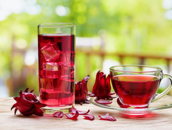 el te mas potente para bajar la presion descubre la flor de jamaica