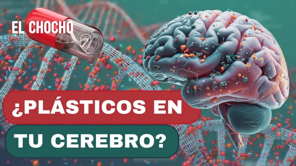 microplasticos en tu cerebro el peligro silencioso y urgente