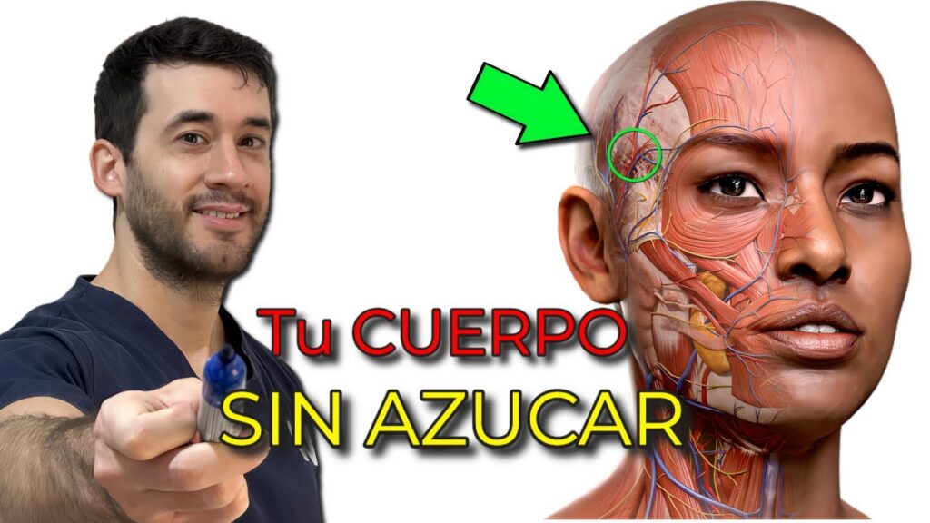 15 dias sin azucar revitaliza tu salud y metabolismo