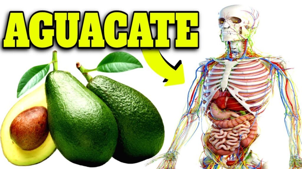 aguacate diario descubre sus impactantes beneficios para tu salud