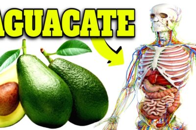 aguacate diario descubre sus impactantes beneficios para tu salud