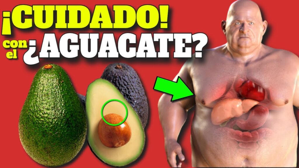 aguacate diario descubre sus increibles beneficios y propiedades