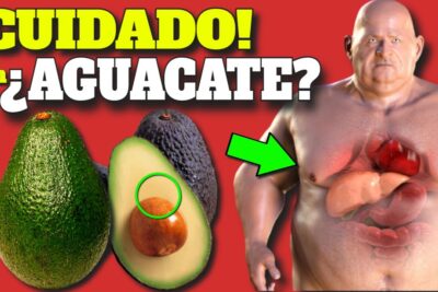aguacate diario descubre sus increibles beneficios y propiedades