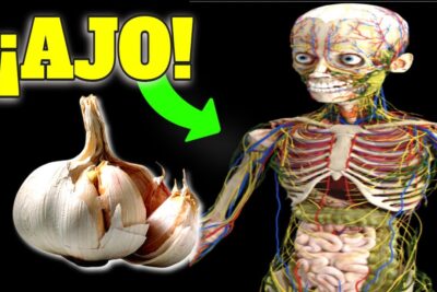 ajo crudo descubre sus increibles beneficios para la salud