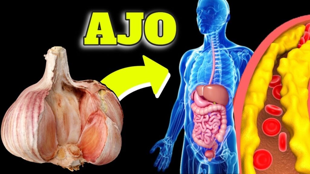 ajo crudo superpoderes para tu salud circulacion trombosis e inmunidad