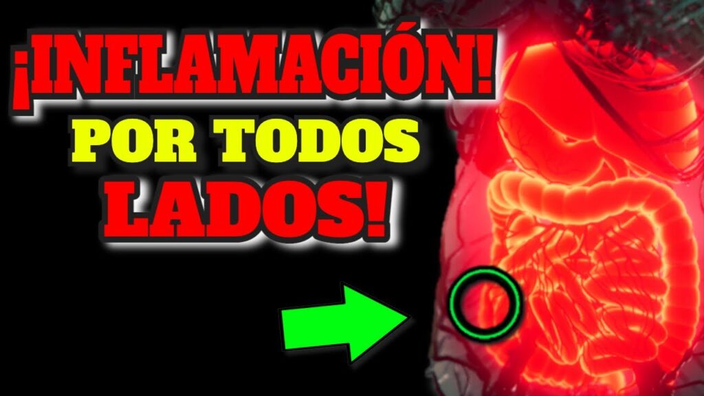 alimentos antiinflamatorios guia completa para una vida saludable