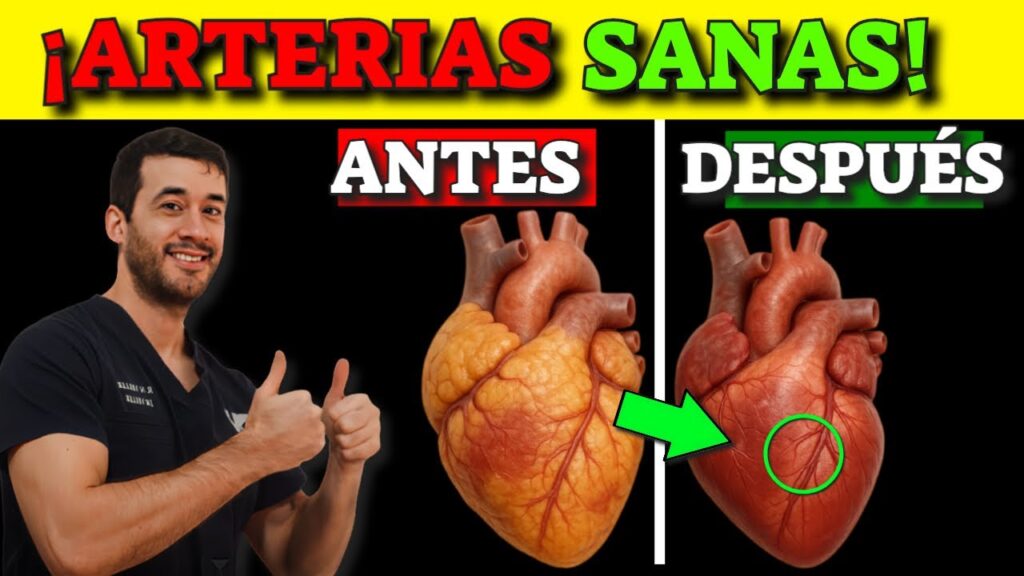 alimentos para arterias limpias guia completa y natural