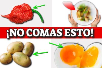 alimentos peligrosos una guia para proteger tu salud y evitar riesgos