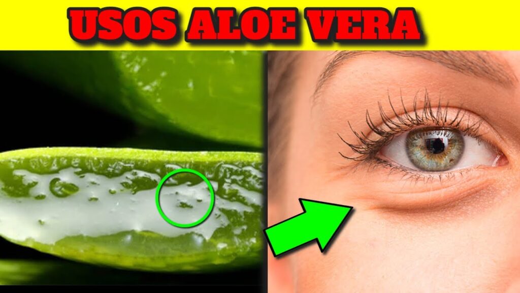 aloe vera guia completa de beneficios y riesgos