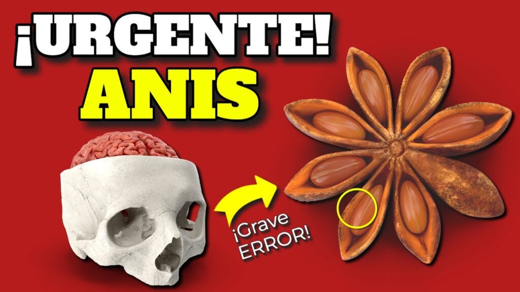 anis estrellado riesgos y beneficios guia completa